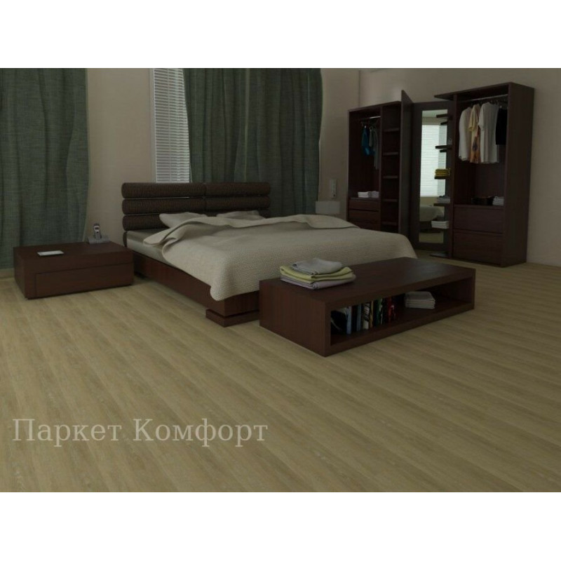 Дуб европейский